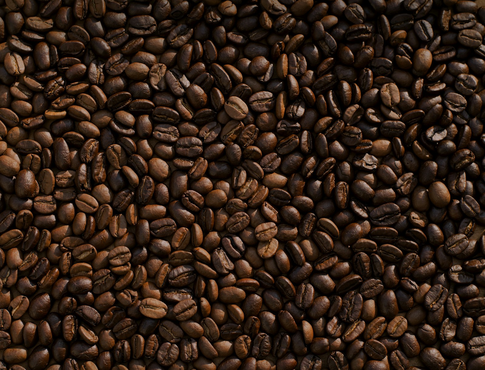 Chicchi di caffè in tostatura per l'espresso